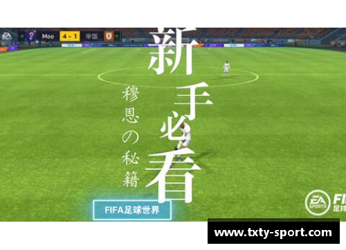 芬兰球员：北欧之光与足球传奇